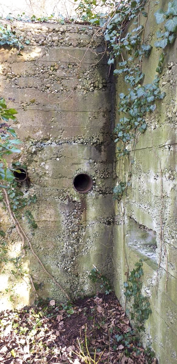 Ligne Maginot - 52 - BUSSIERES EST - (Blockhaus pour arme infanterie) - Prises de ventilation - Les Gardiens du Rhin