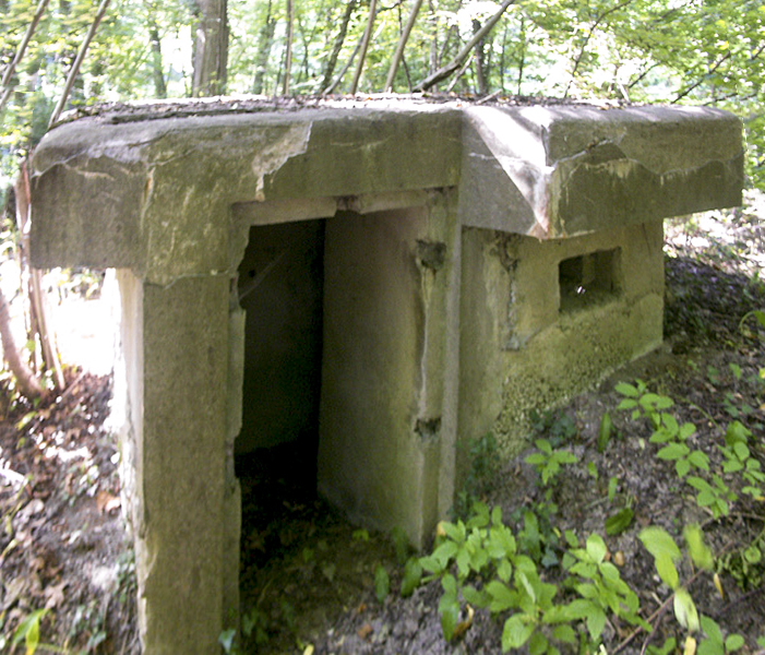 Ligne Maginot - 57 - STEINGIESSEN - (Blockhaus pour arme infanterie) -  - Pascal LAMBERT