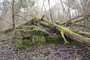 Ligne Maginot - BAUERNGRUNDWASSER - (Blockhaus pour arme infanterie) - La culée du pont sur le Bauerngrundwasser que surveillait le blockhaus.
