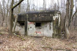 Ligne Maginot - BLAUELSAND - (Casemate d'infanterie - Simple) - Vue générale
