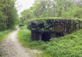 Ligne Maginot - HAUTE DIGUE 8 - (Blockhaus pour arme infanterie) - L'entrée est visible sur la photo avec le créneau sud.
L'entrée du bloc 9 est visible à l'arrière plan