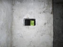 Ligne Maginot - HAUTE DIGUE 6 - (Blockhaus pour arme infanterie) - Chambre de tir
Créneau de défense rapprochée de la galerie
