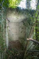 Ligne Maginot - DAUBENSAND 2 - (Abri) - 