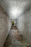 Ligne Maginot - DAUBENSAND 2 - (Abri) - 