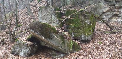 Ligne Maginot - HOCHWALD - RéDUIT - (Ouvrage d'infanterie) - Le mur de façade du blockhaus de défense de l'entrée. On distingue les gradins d'un créneau