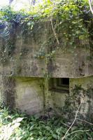 Ligne Maginot - HERRENFELD (II/34°RIF ) - (PC de Quartier) - Abri 2
Créneau FM ou fusil de défense vers le Nord