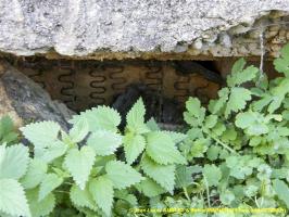 Ligne Maginot - CB109 - SENTZICH - (Blockhaus pour canon) - 