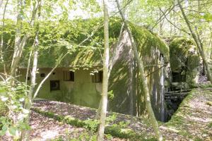Ligne Maginot - DRACHENBRONN Nord Ouest ( Casemate d'infanterie ) - Vue générale