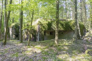 Ligne Maginot - DRACHENBRONN Sud Est ( Casemate d'infanterie ) - Vue générale
