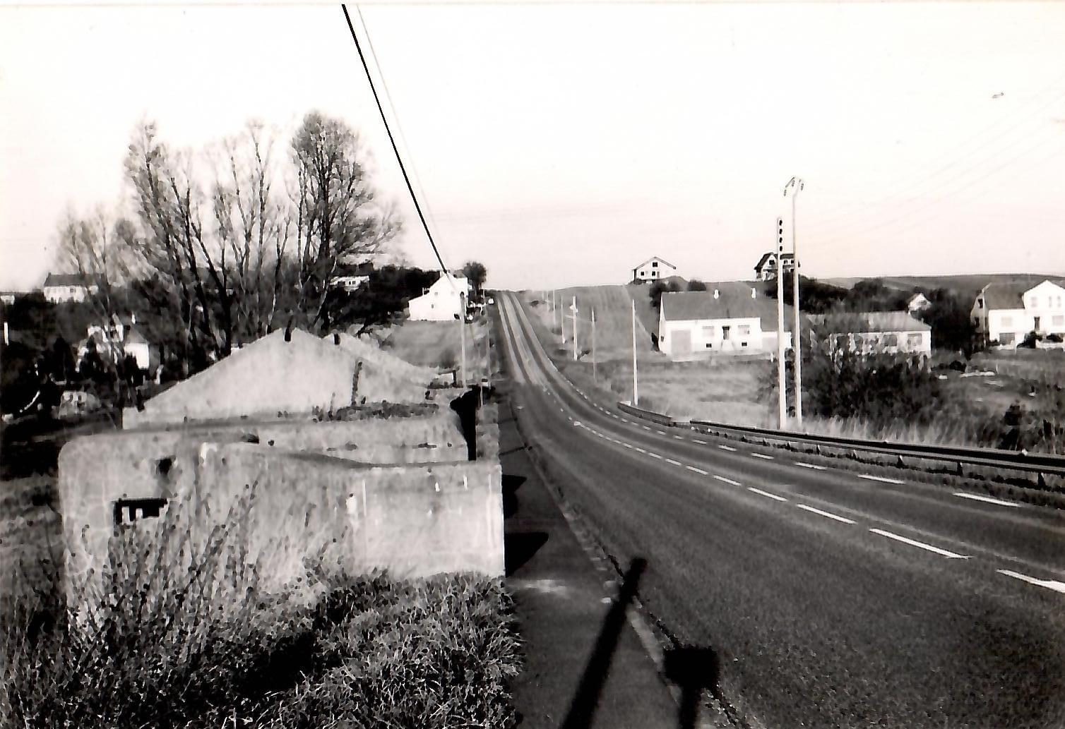 Ligne Maginot - WILLERWALD 1 (AVANT POSTE) - (Blockhaus pour canon) - Avant restauration - Joseph Peeters