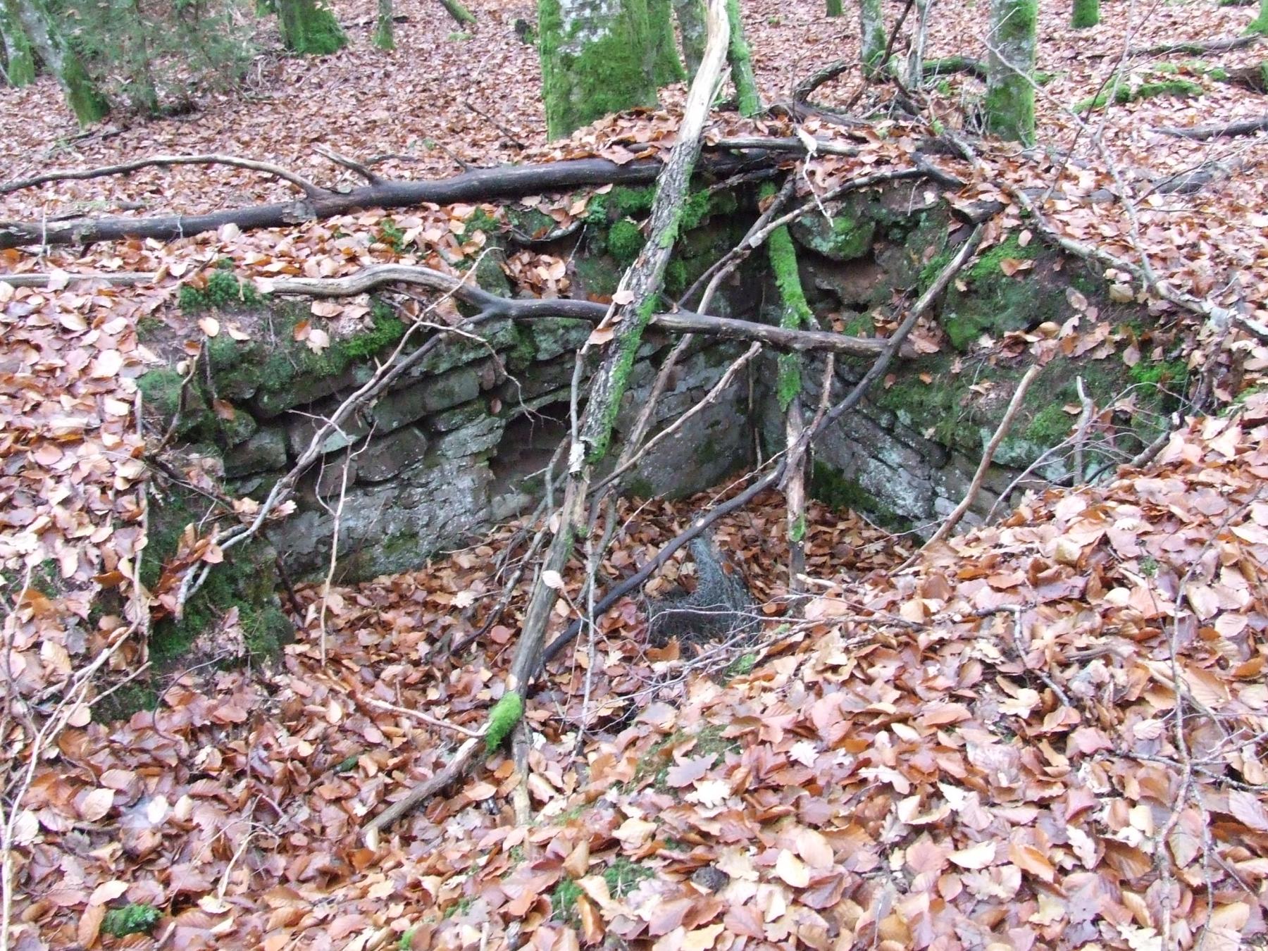 Ligne Maginot - ROTHENBOURG 2 - (Cuve pour arme d'infanterie) - La position d'infanterie - STENGER Mathieu
