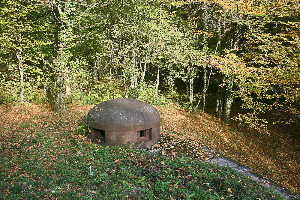 Ligne Maginot - BOIS DE CATTENOM - X14 - (Abri) - Une des deux cloches de l'abri - Michel Teiten