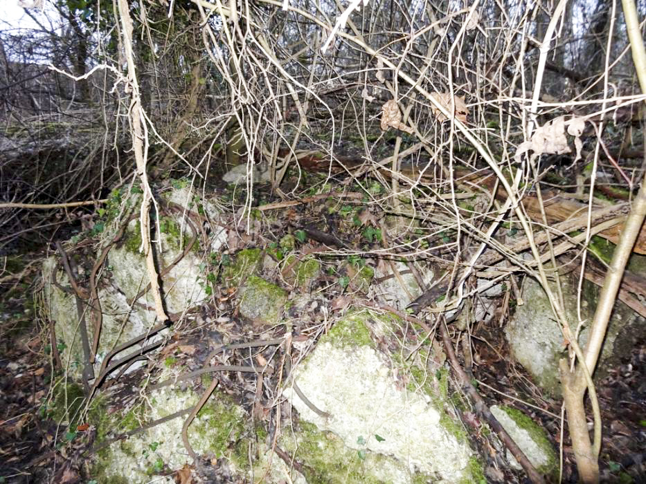 Ligne Maginot - 302A - PORT DU RHIN SUD 30 - (Blockhaus pour arme infanterie) - Restes probables du bloc 30 - Lionnel SPERANDIO