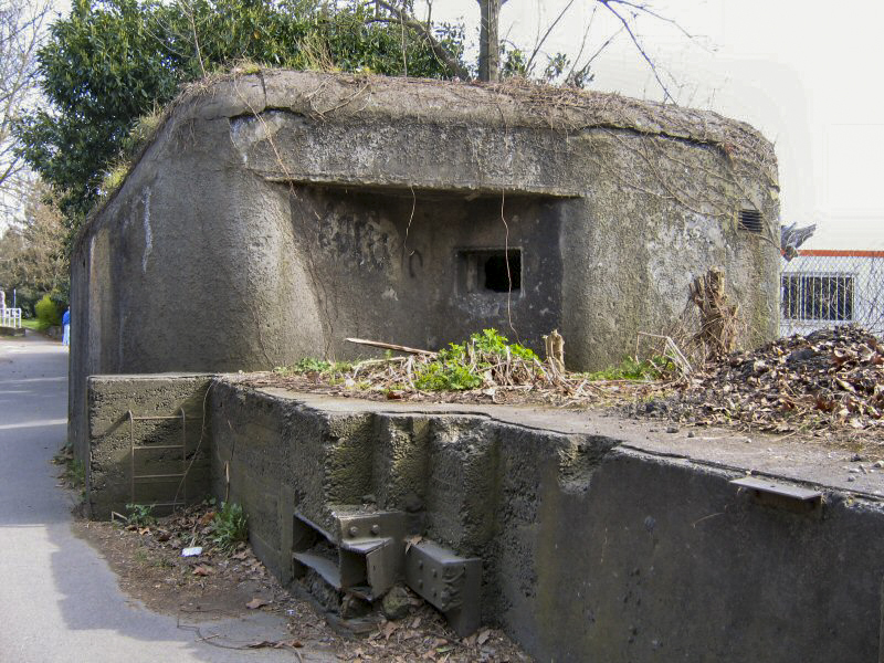 Ligne Maginot - ROUTE du RHIN - (Barrage de Route) - Embrasure couvrant le barrage - Les Gardiens du Rhin