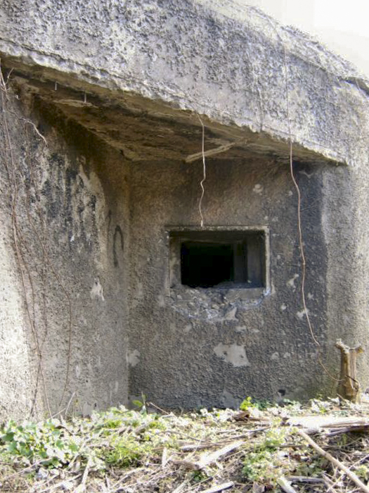 Ligne Maginot - 420D - ROUTE DU RHIN - (Blockhaus pour canon) - Embrasure couvrant le barrage - Les Gardiens du Rhin