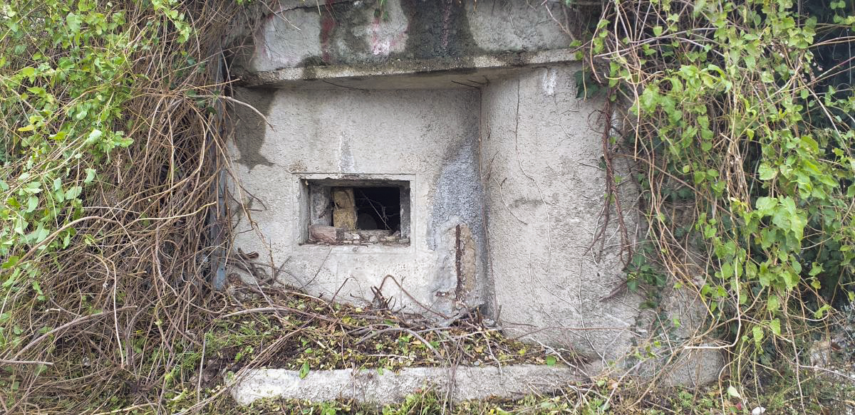 Ligne Maginot - PORT DU RHIN CENTRE 9 - (Blockhaus pour arme infanterie) - Créneau prenant en enfilade la rue Coulaux - Les Gardiens du Rhin