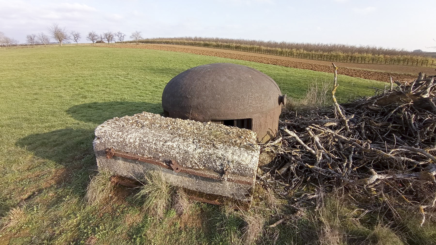 Ligne Maginot - SCHOENENBOURG - (Abri) -  - Baptiste Gaudin