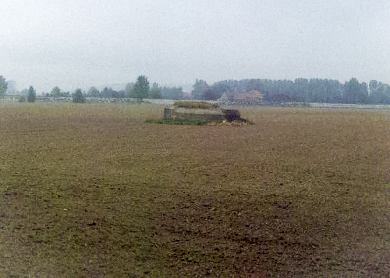 Ligne Maginot - BEF 724 - LE BEAU CHENE EST - (Blockhaus pour arme infanterie) -  - Google Streetview