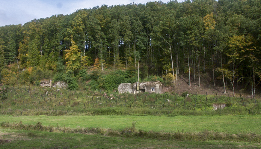 Ligne Maginot - FROHMUHL (PC DU QUARTIER KAPELLENHOF - II/153° RIF) - (Abri) - Vue depuis la route.
Noter l'abri MOM situé en contrebas à droite de la photo - Pascal LAMBERT