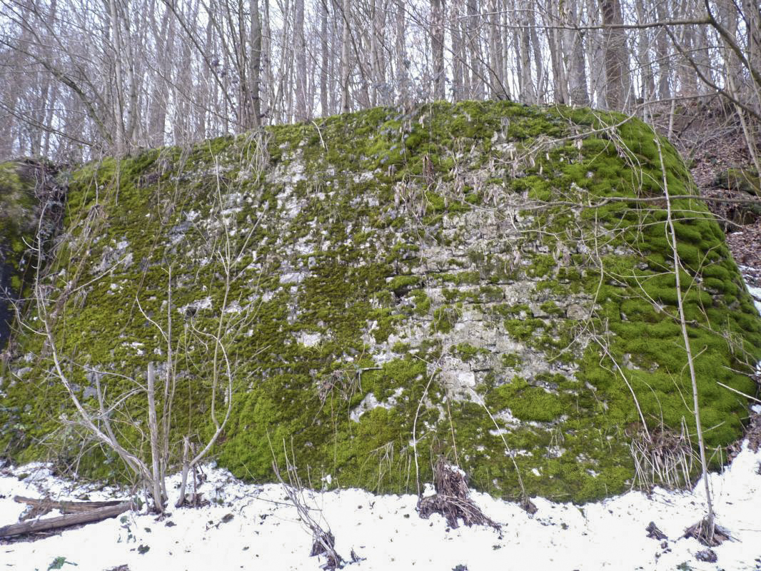 Ligne Maginot - FROHMUHL (PC DU QUARTIER KAPELLENHOF - II/153° RIF) - (Abri) - Mur de protection aux abords de l'un des coffres d'entrée - Aditus