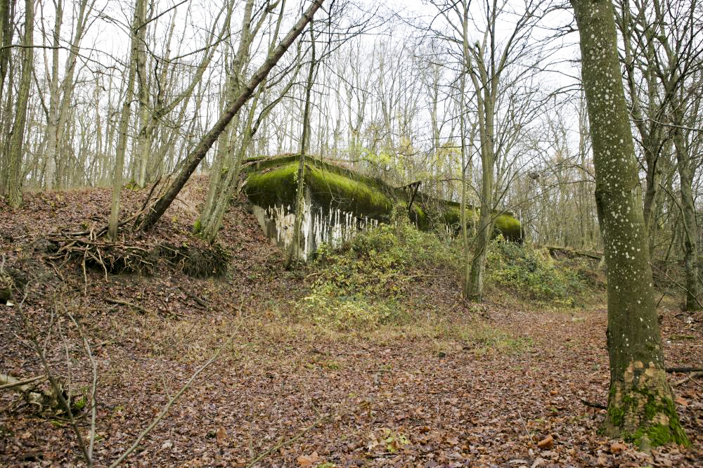 Ligne Maginot - SOETRICH - A11 - (Ouvrage d'artillerie) - Entrée munitions - ZEIG Marc
