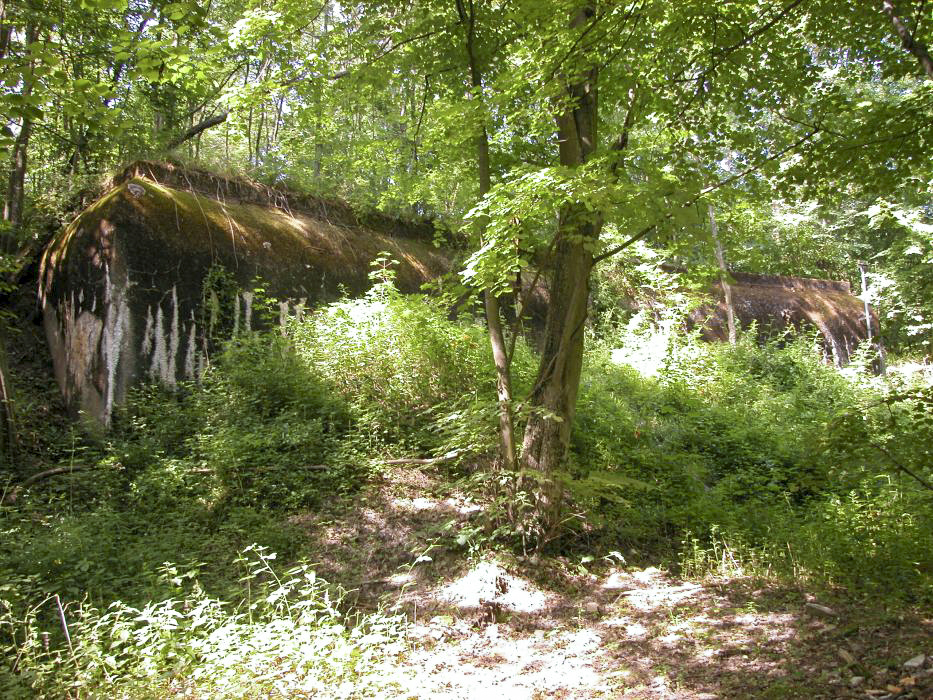 Ligne Maginot - SOETRICH - A11 - (Ouvrage d'artillerie) - Entrée munitions
La façade remblayée - ZEIG Marc