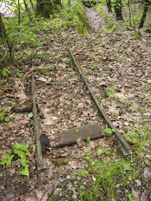 Ligne Maginot - SOETRICH - A11 - (Ouvrage d'artillerie) - Entrée munitions
Vestiges de la voie étroite à l'extérieur de l'EM - Michel Teiten