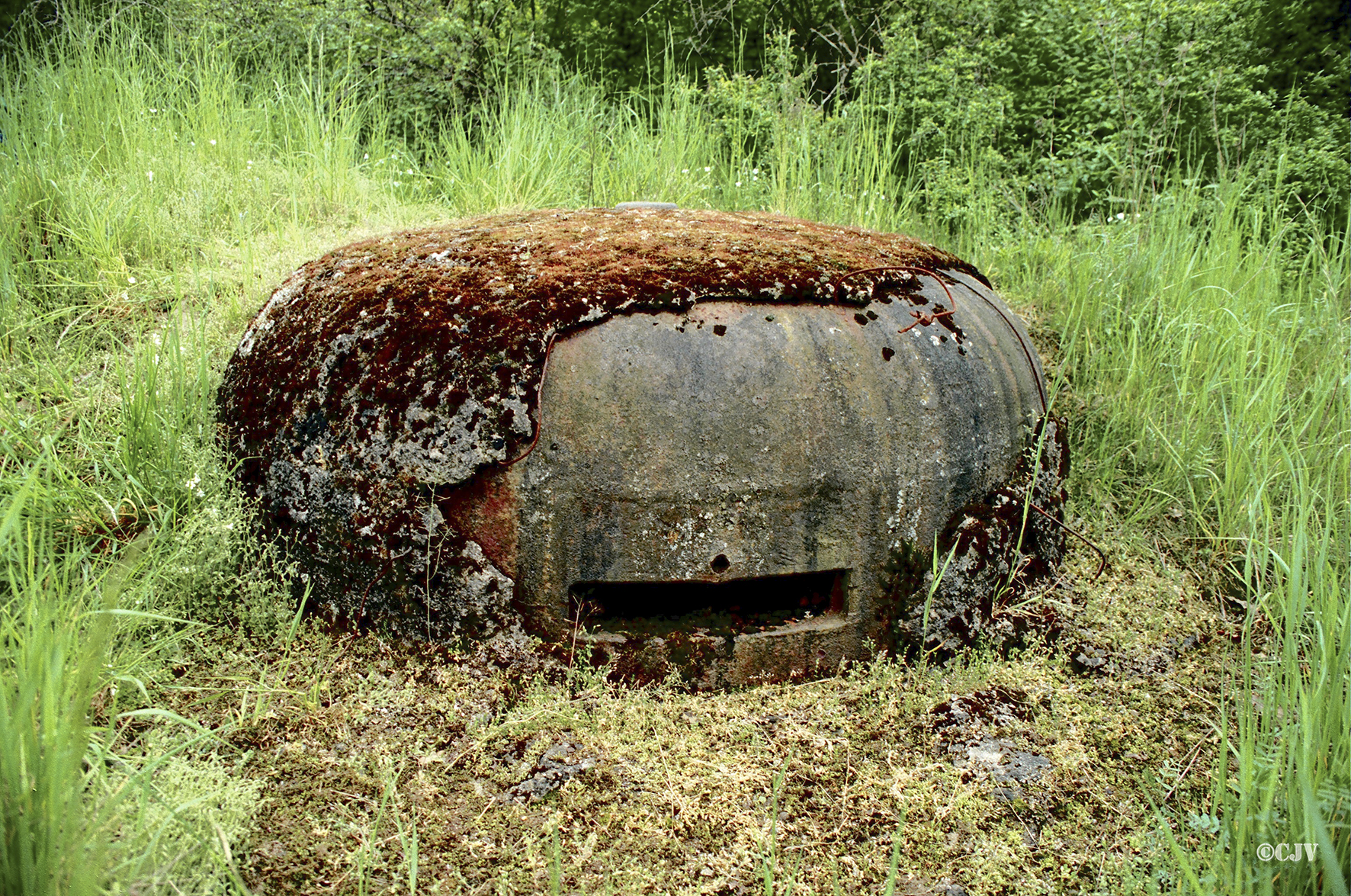 Ligne Maginot - SOETRICH - A11 - (Ouvrage d'artillerie) - Bloc 2
Cloche Obs VDP recouverte d'un camouflage en béton - Lia VERMEULEN
