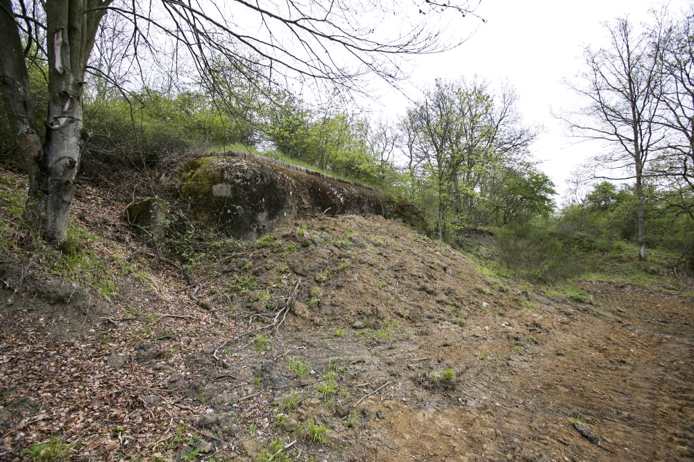 Ligne Maginot - SOETRICH - A11 - (Ouvrage d'artillerie) - Bloc 3
Casemate d'infanterie et mortiers de 81 mm couvrant le ravin de Boust - ZEIG Marc