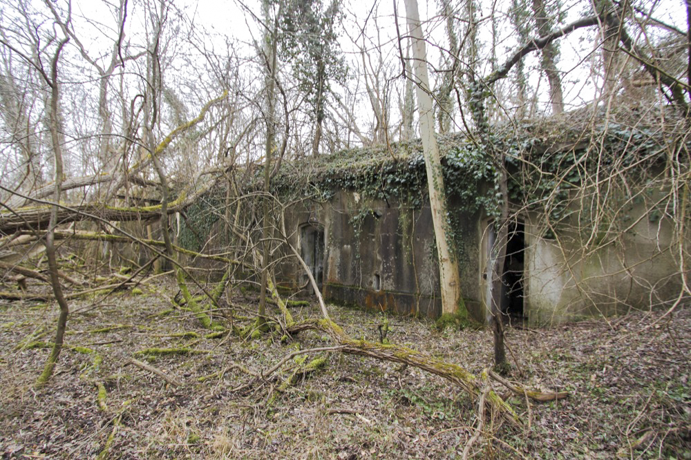 Ligne Maginot - BATTERIE DES PAYSANS - (Cuve pour canon) - Abri à munitions M 74 - Antoine Schoen