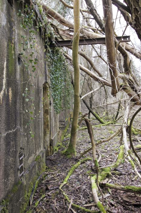 Ligne Maginot - BATTERIE DES PAYSANS - (Cuve pour canon) - Potence au-dessus d'une entrée destiné à un palan de manutention - Les Gardiens du Rhin