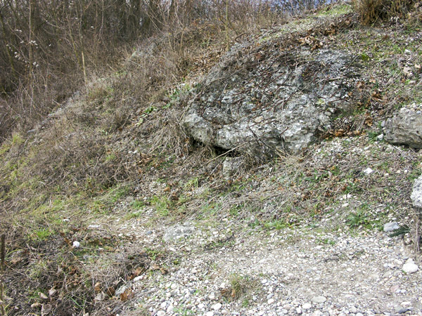 Ligne Maginot - BASSIN AUX PETROLES - (Casemate d'infanterie - Double) - Restes de béton apparents - LAMBERT Pascal