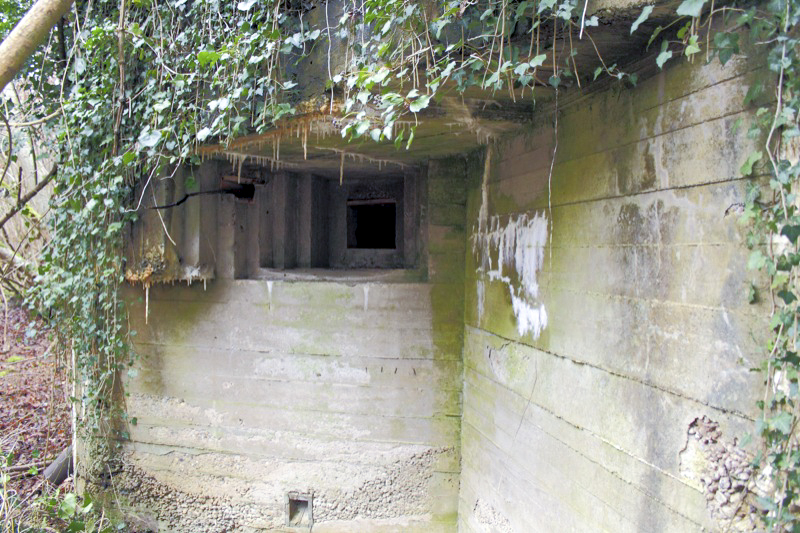 Ligne Maginot - BAUERNGRUNDWASSER - (Blockhaus pour arme infanterie) - Créneau FM Sud - Les Gardiens du Rhin
