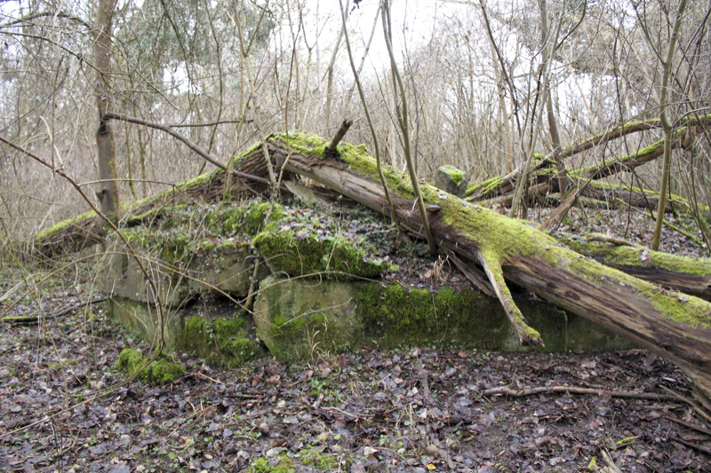 Ligne Maginot - BAUERNGRUNDWASSER - (Blockhaus pour arme infanterie) - La culée du pont sur le Bauerngrundwasser que surveillait le blockhaus.
 - Les Gardiens du Rhin
