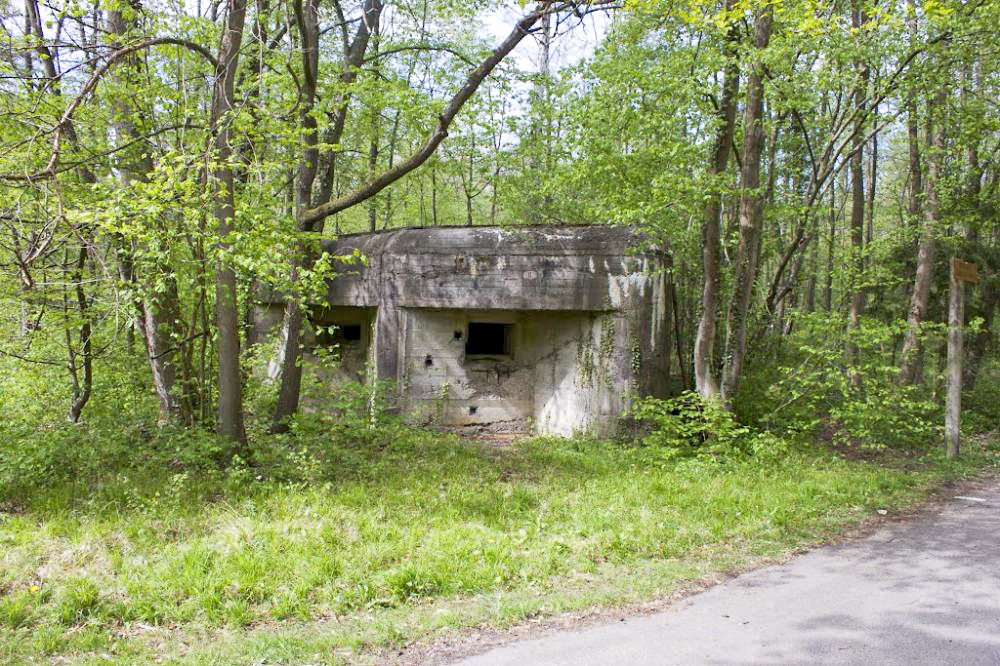 Ligne Maginot - BLAUELSAND - (Casemate d'infanterie - Simple) -  - Aurélien EBEL