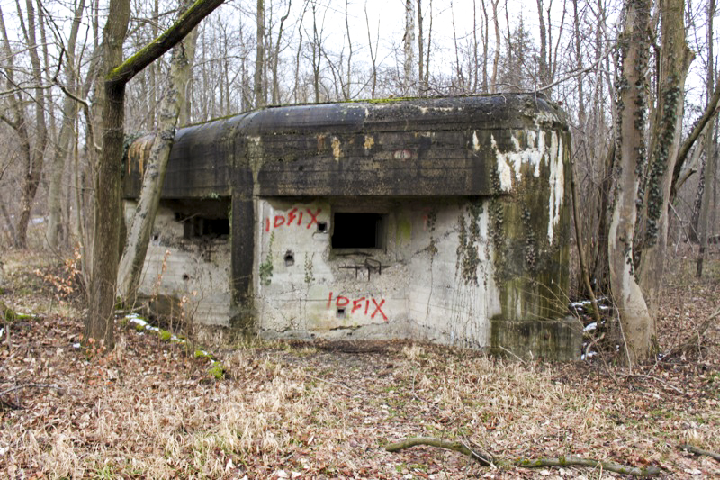Ligne Maginot - BLAUELSAND - (Casemate d'infanterie - Simple) - Vue générale - Les Gardiens du Rhin