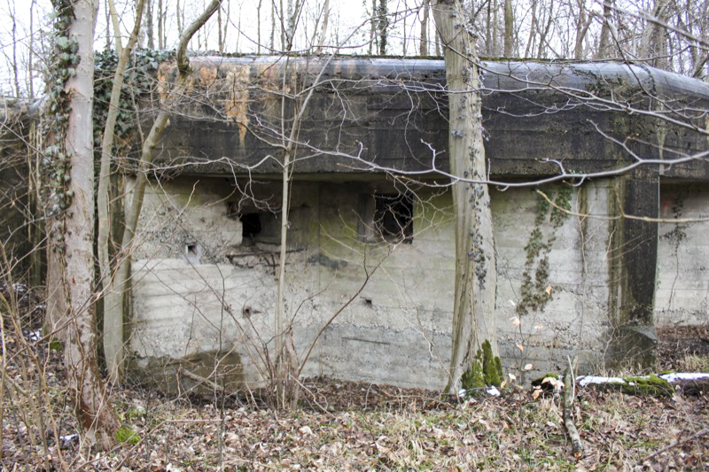 Ligne Maginot - BLAUELSAND - (Casemate d'infanterie - Simple) - Vue générale - Les Gardiens du Rhin