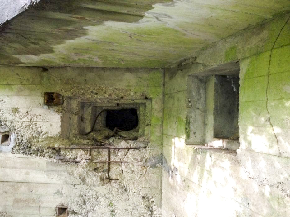 Ligne Maginot - BLAUELSAND - (Casemate d'infanterie - Simple) - Créneaux pour mitrailleuse et FM en façade - Pascal LAMBERT