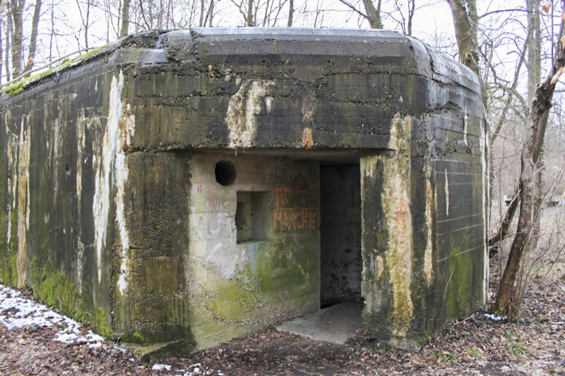 Ligne Maginot - BLAUELSAND - (Casemate d'infanterie - Simple) - Vue générale - Les Gardiens du Rhin