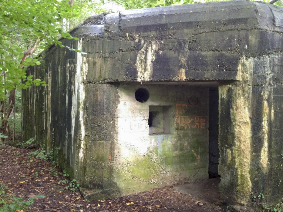 Ligne Maginot - BLAUELSAND - (Casemate d'infanterie - Simple) - L'entrée - Pascal LAMBERT