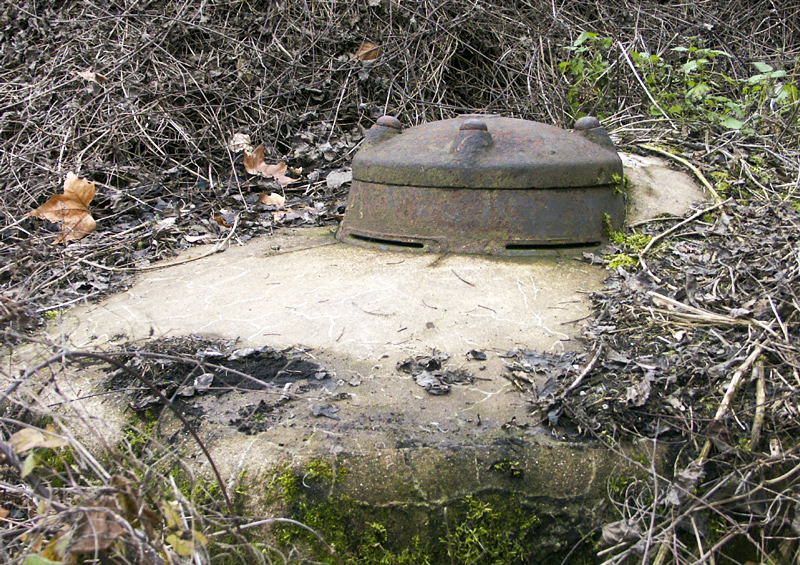 Ligne Maginot - BLAUELSAND - (Observatoire d'infanterie) - Cloche, vue générale - LAMBERT Pascal