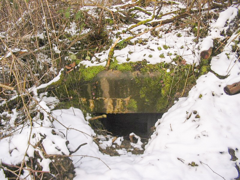 Ligne Maginot - BLAUELSAND - (Observatoire d'infanterie) -  - Les Gardiens du Rhin