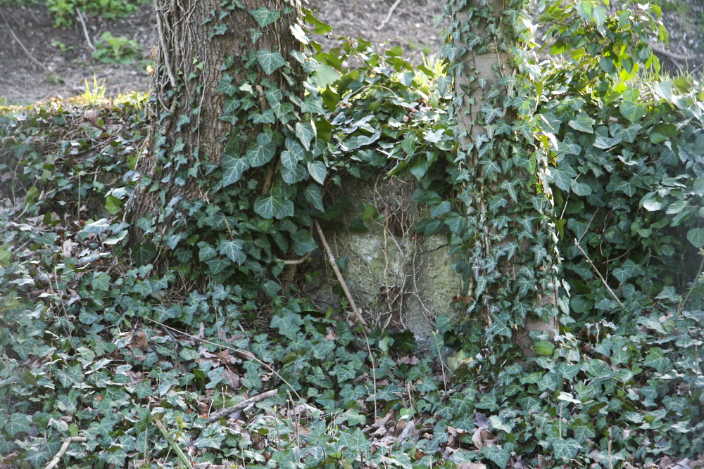 Ligne Maginot - Blockhaus CANAL MARNE AU RHIN 2 - Le blockhaus est remblayé.  - Alain Perouffe