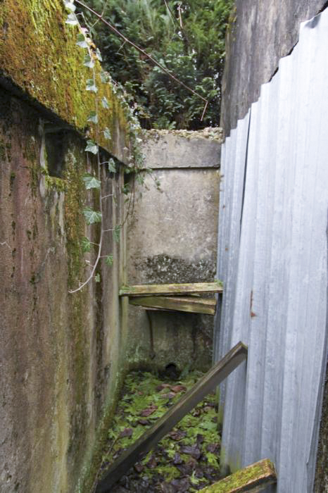 Ligne Maginot - DALHUNDEN EST - (PC de Sous-Quartier) - La tranchée d'accès au blockhaus - Les Gardiens du Rhin