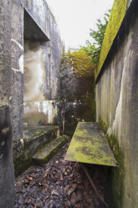 Ligne Maginot - DALHUNDEN EST - (PC de Sous-Quartier) - La tranchée d'accès à l'abri - Les Gardiens du Rhin
