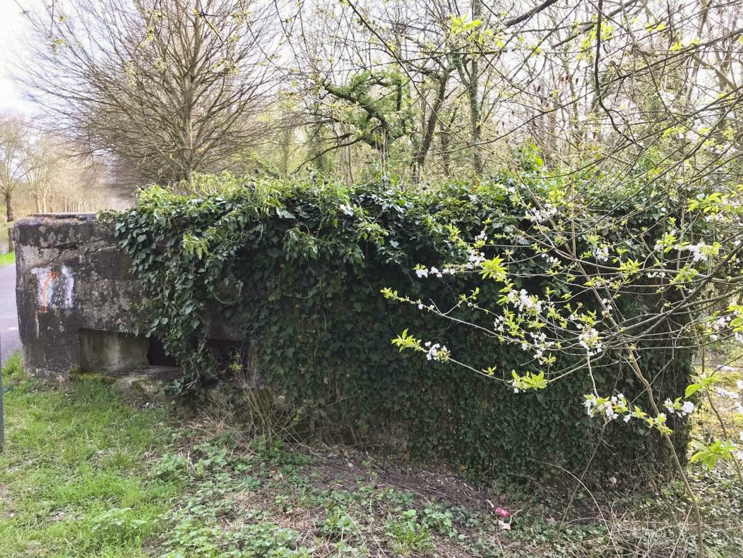 Ligne Maginot - ECLUSE 83 1 - (Blockhaus pour canon) - Créneau de gauche - A. SCHOEN