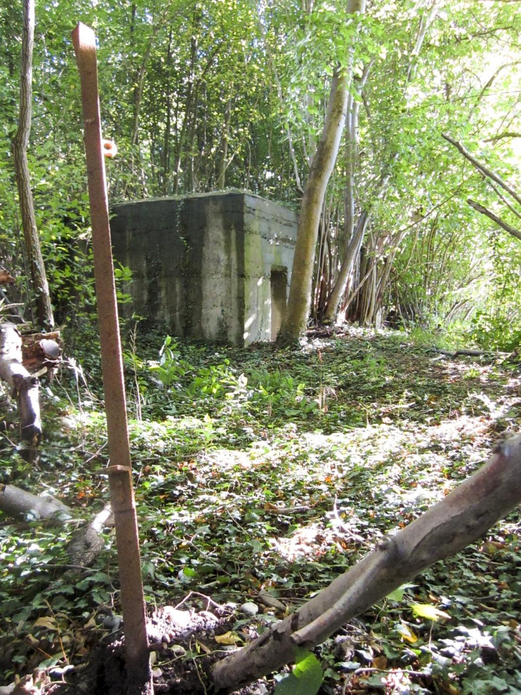Ligne Maginot - ETANG GERIG 3 - (Abri) -  - G.Fuchs