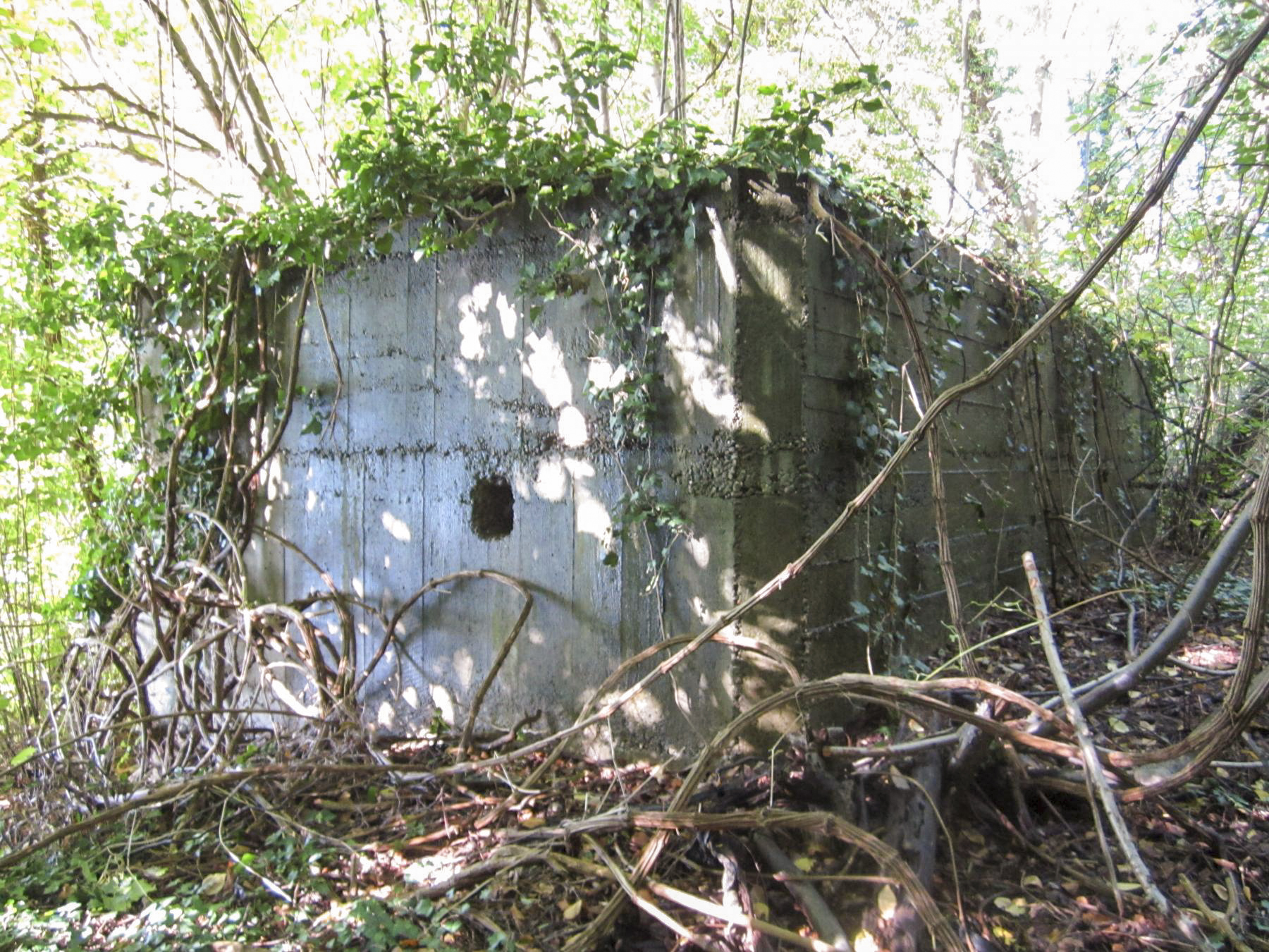 Ligne Maginot - ETANG GERIG 3 - (Abri) -  - G.Fuchs