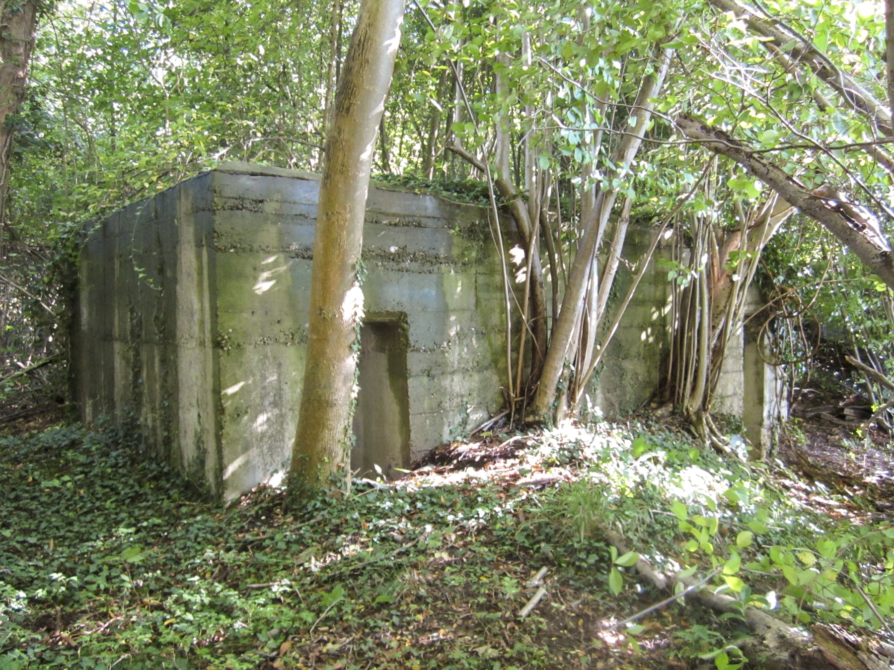 Ligne Maginot - ETANG GERIG 3 - (Abri) -  - G.Fuchs