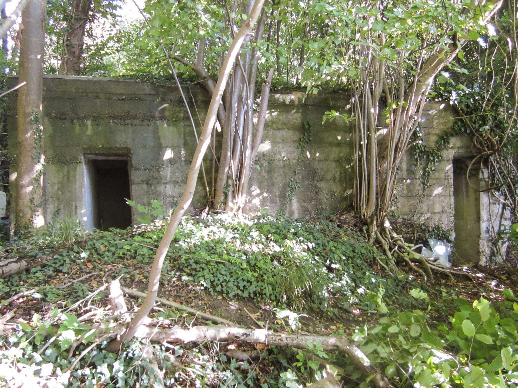 Ligne Maginot - ETANG GERIG 3 - (Abri) -  - G.Fuchs